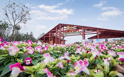 大奖国际18dj18(中国游)官方网站