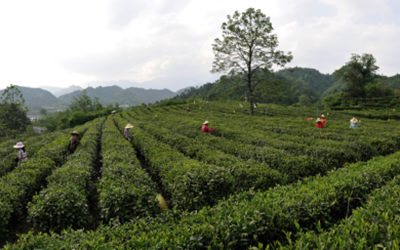 大奖国际18dj18(中国游)官方网站