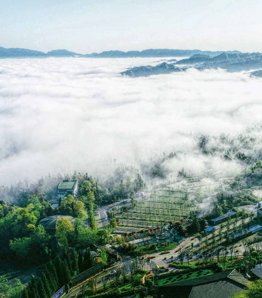 大奖国际18dj18(中国游)官方网站